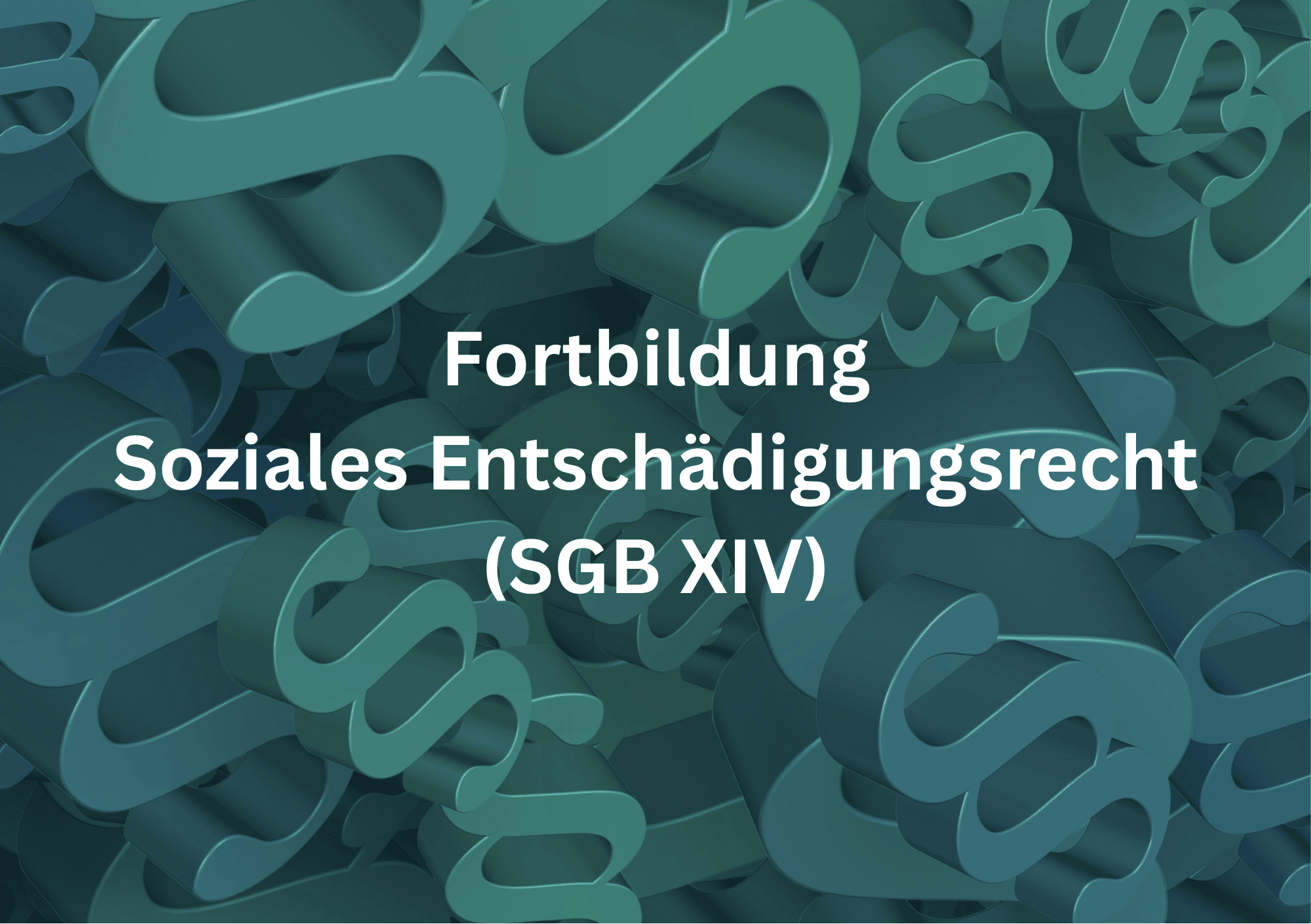 Einführung in das Soziale Entschädigungsrecht